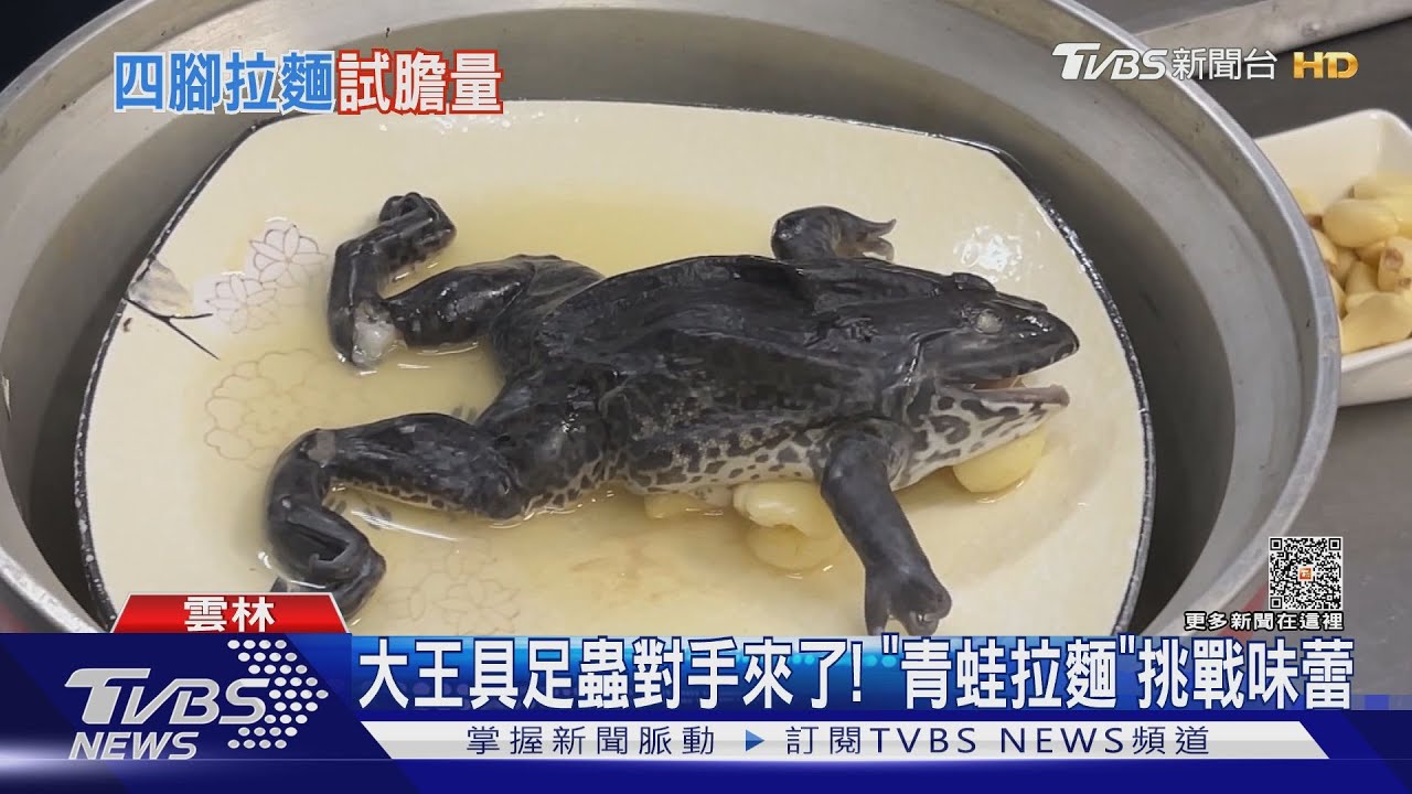 大王具足蟲對手來了! 青蛙拉麵挑戰味蕾
