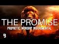 Prophetic Worship Music - The Promise Intercession Prayer Instrumental | William Mcdowell
