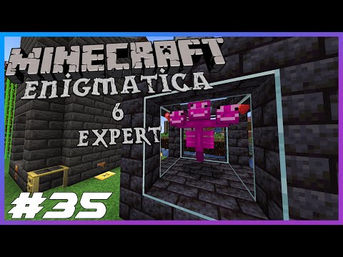 Enigmatica 6 Expert Ep.35 Pink Slime