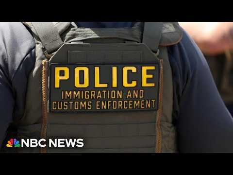 Man killed while fleeing ICE officers in Florida