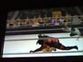 Mark Henry 619
