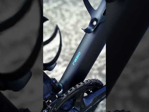 SARTO Raso Uni-directional Black and Blue