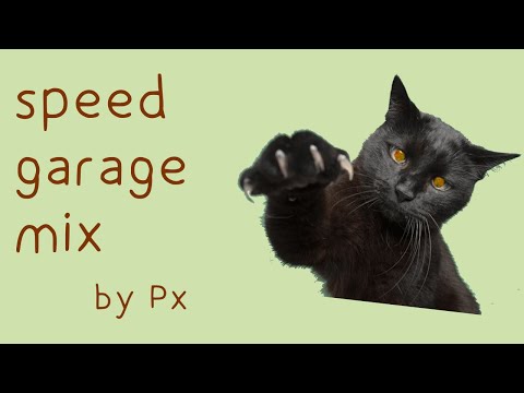 speed garage to rock out to - ukg/bassline mix by px