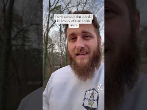 Red Pepper Flakes in Your Chickens Feed? #chicken #backyardchickens #homesteader #chickenfeed