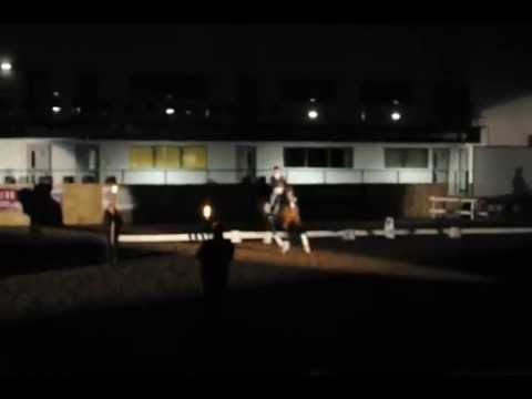 The British Stallion Event 2