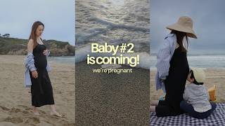 The Next Chapter: WE'RE PREGNANT!