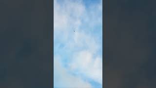 S.H.E [你曾是少年 Wings of my words] - Cover by TimeStamp