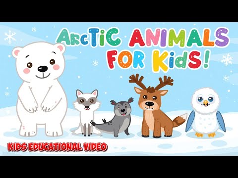 Most Popular Arctic Animals | Kids Educational Video
