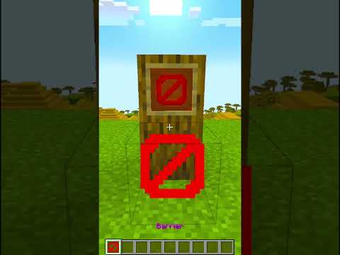 5 BLOCCHI SEGRETI DI MINECRAFT
