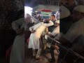 Hyderabad Marfa Hyderabadimarfaofficial Mohdazmathullah2518