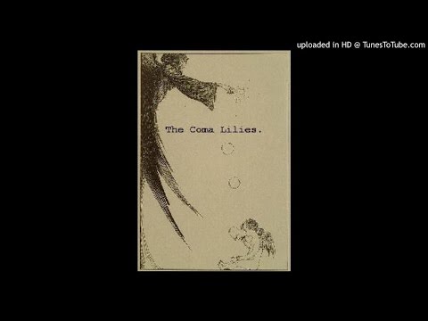 the coma lilies - clamp