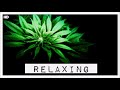 A Journey Into Sound | Weed Smoke Coffee Shop Relax Chill Instrumental Music