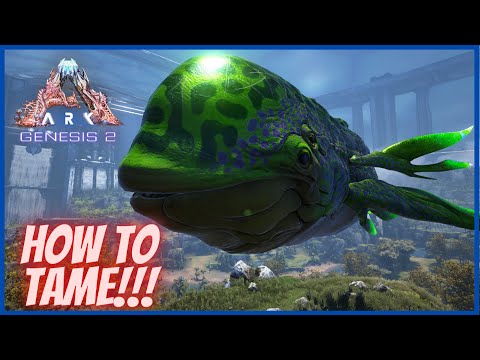 HOW TO TAME THE ASTRODELPHIS! Ark Tutorials