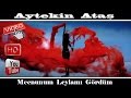 Aytekin Ataş - Mecnunum Leylamı Gördüm Video HD ...