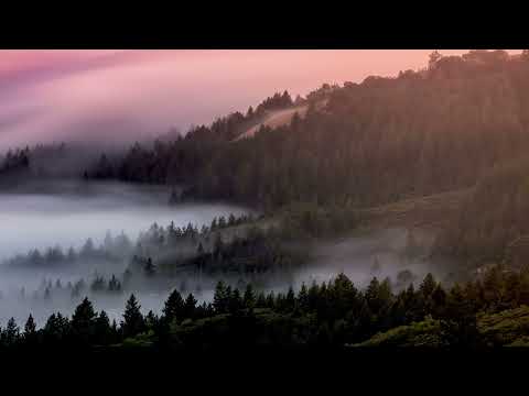 Sága krásy – Staré trojhlasné rusínske piesne z Jarabiny | Old Rusyn Three-Part Harmony Folk Songs
