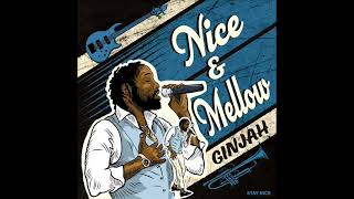 Ginjah - Nice & Mellow (New Reggae) (Stay Nice Music) (May 2026)