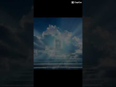 How many bones do you think he broke? #wrestling #joke #funny