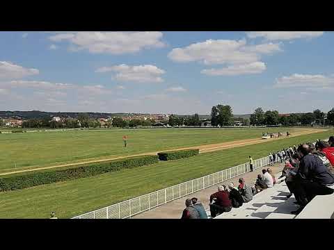 Kasačka trka.Požarevac.08.05.2021.Pobednik Piccolo party