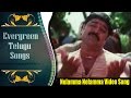 Evergreen Telugu Songs Nelamma Nelamma Guri Movie Srihari Sanghavi