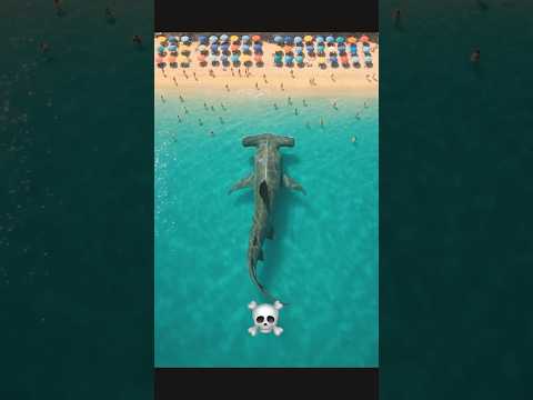 Giant Hammerhead shark stalks then attacks beachgoers 😱! #beach #sharks #shorts