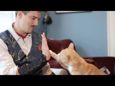 INTRODUCING: The Jacques ze Whipper Line