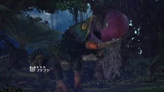 MONSTER HUNTER WORLD 毒妖鳥