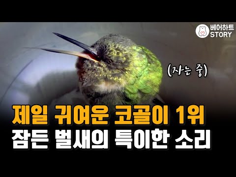 아이콘