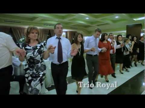 Formatii nunta Galati-  Trio Royal - Dida Agache -colaj sarbe live