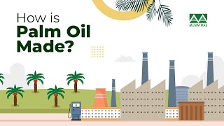 How is Palm Oil Made?
