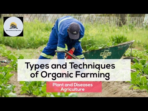 Organic Farming Techniques