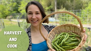 How to harvest and preserve fava beans (plus my favorite way to cook them!) | Harvest and Cook