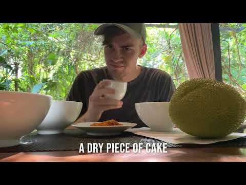 12 Days of Quarantine (A 12 Days of Christmas Parody)