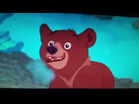 Finding koda part 4 field trip