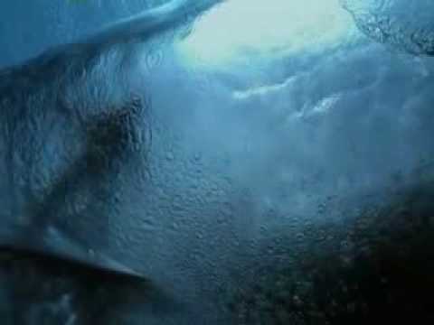 Pacifico Sur 1 de 6 - Un oceano de islas.2009.avi