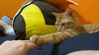 [閒聊] 低端場悠咪是不是常常掛機 說他在打手遊