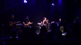 After Work - The Common Linnets In your eyes