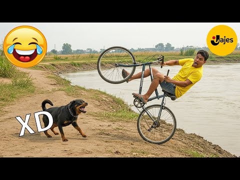 SI TE RÍES PIERDES NIVEL DIOS #124 🤣 VIDEOS DE RISA MUY GRACIOSOS 2025 🤣