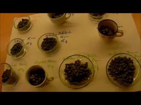 DAS bira IPA  - #HomeBrewDog Part 2