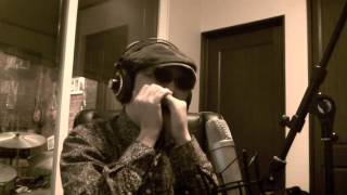 Sonny`s Squall  (Sonny Terry and Brownie Mcghee cover)