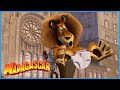 DreamWorks Madagascar A Day In The Zoo Madagascar Movie Clip
