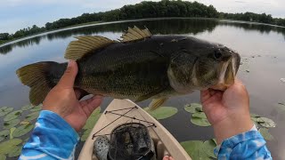 Fishing an MN lake that has only surveyed one bass