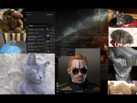 Logistics 101 or Space Healers - Jenson Aivo and his Cats - Eve Online - January 2020