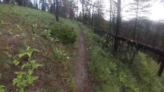 preview picture of video 'Mountain Biking Helena, Montana - Mount Helena Ridge Trail Part 3'