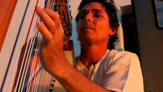 Harpist Nicolas Carter  Paraguayan harp 