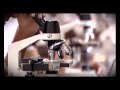 Adani Brand Film