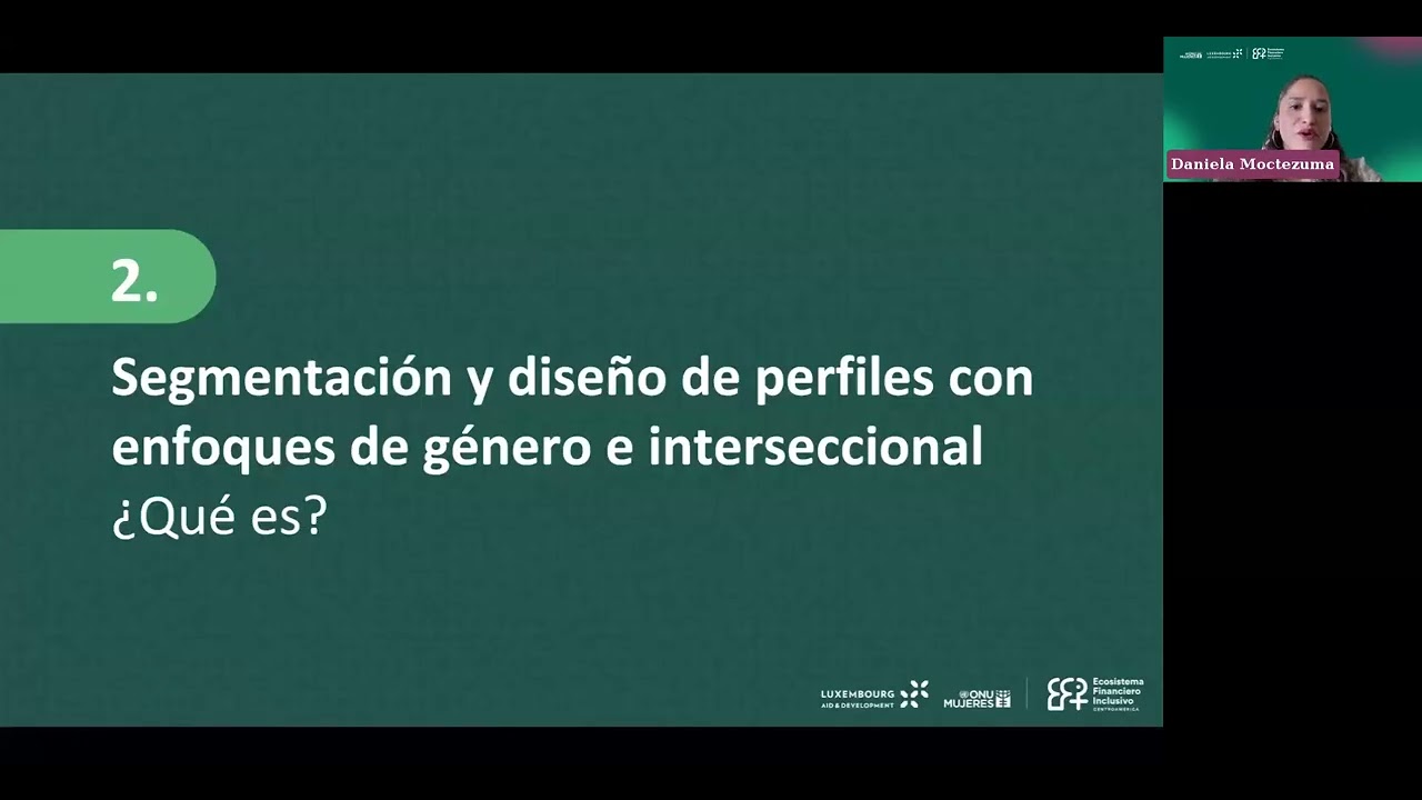 Webinar II — Pautas para crear perfiles de usuarias