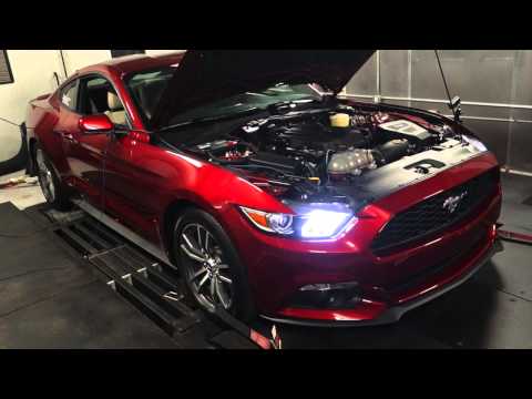 2015 Mustang EcoBoost CAI Test