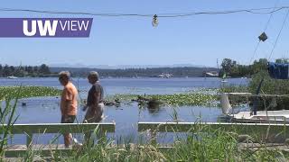 Archive: UW View - Sailing Union Bay