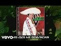 Vicente Fernández - Mis Ojos Me Denuncian (Cover Audio)