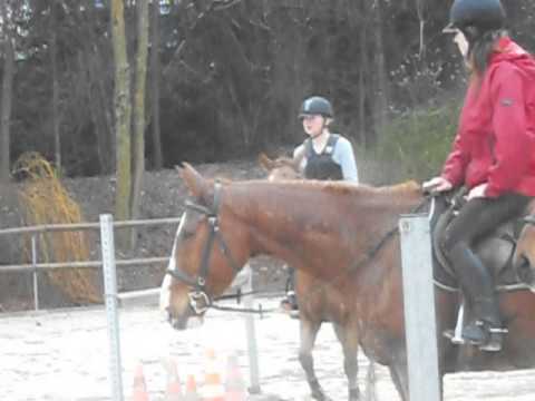 comment s'inscrire dans un centre equestre